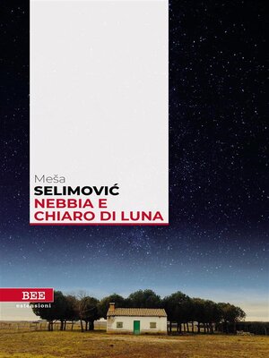 cover image of Nebbia e chiaro di luna